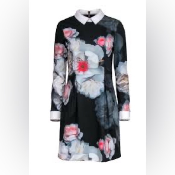 Ted Baker Floral Print Dress, Size 1, Excellent Used Condition - Picture 3 of 7
